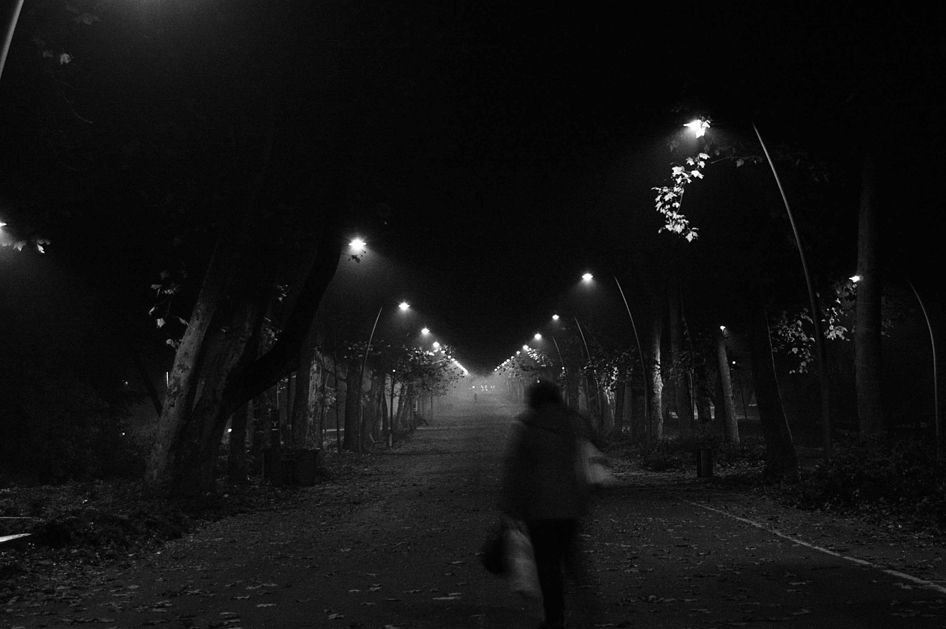 Fekete-fehér fénykép, amin egy alak halad át egy ködös, esti parkon