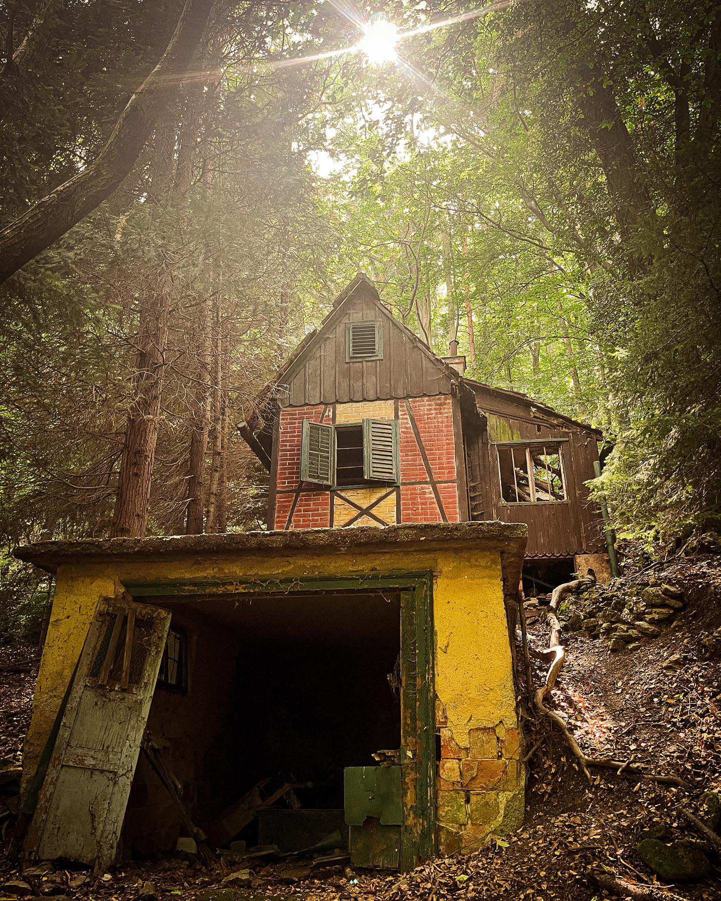 Elhagyatott ház az erdőben